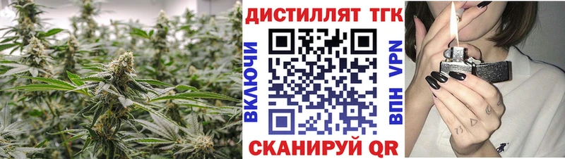 Купить  Грязовец  ТГК гашишное масло 