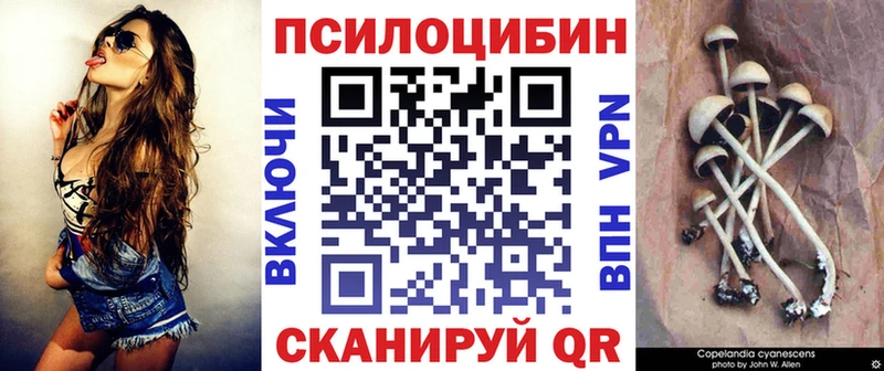 Галлюциногенные грибы ЛСД  Купить где  Грязовец 